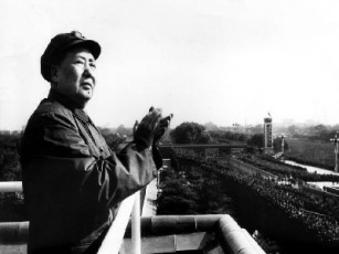 MAO